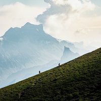 In den Top 3: Das Wallis bleibt bei Gründungen sehr dynamisch